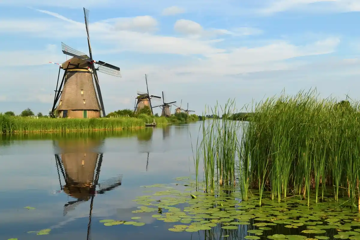 Kinderdijk · Windmills